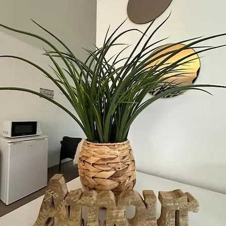 Neuve 1 Ou 2 Personnes * مونس