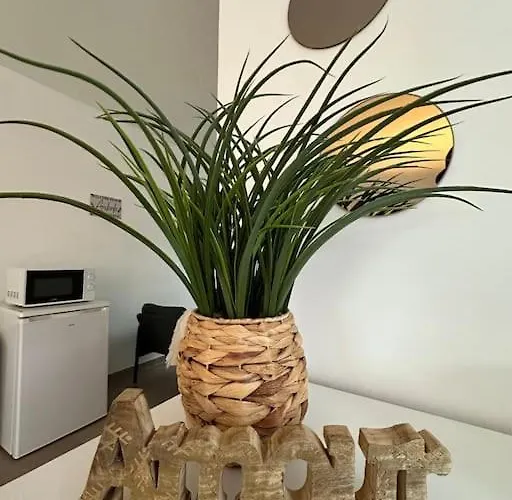 Neuve 1 Ou 2 Personnes * Mons